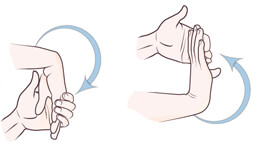 Illustration of wrist flexor and extensor stretches